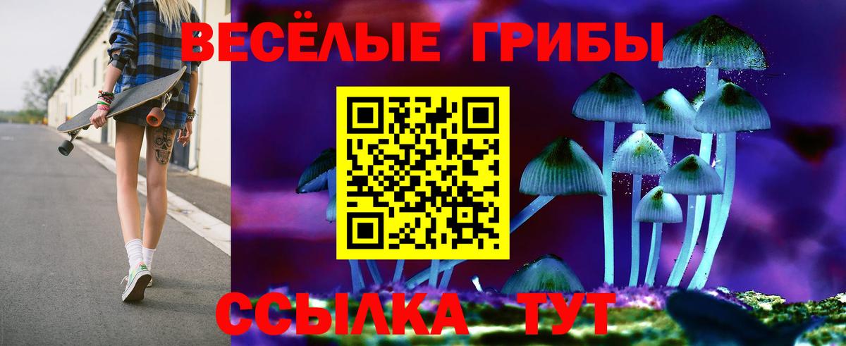 Дятьково  Галлюциногенные грибы Psilocybe  Вход с VPN 